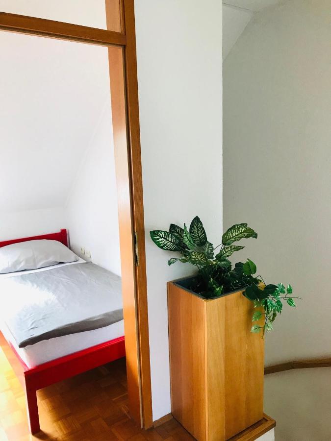 Extraordinary Apartment In Banovci Verzej Ngoại thất bức ảnh
